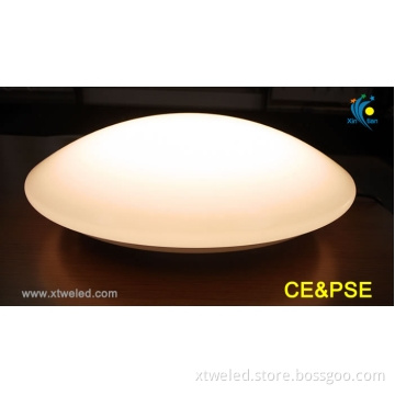 2012 Hot Sale LED Ceiling Lights